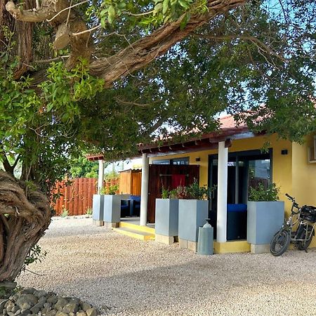 Sonrisa Boutique Hotel - Adults Only Kralendijk na wyspie Bonaire Zewnętrze zdjęcie