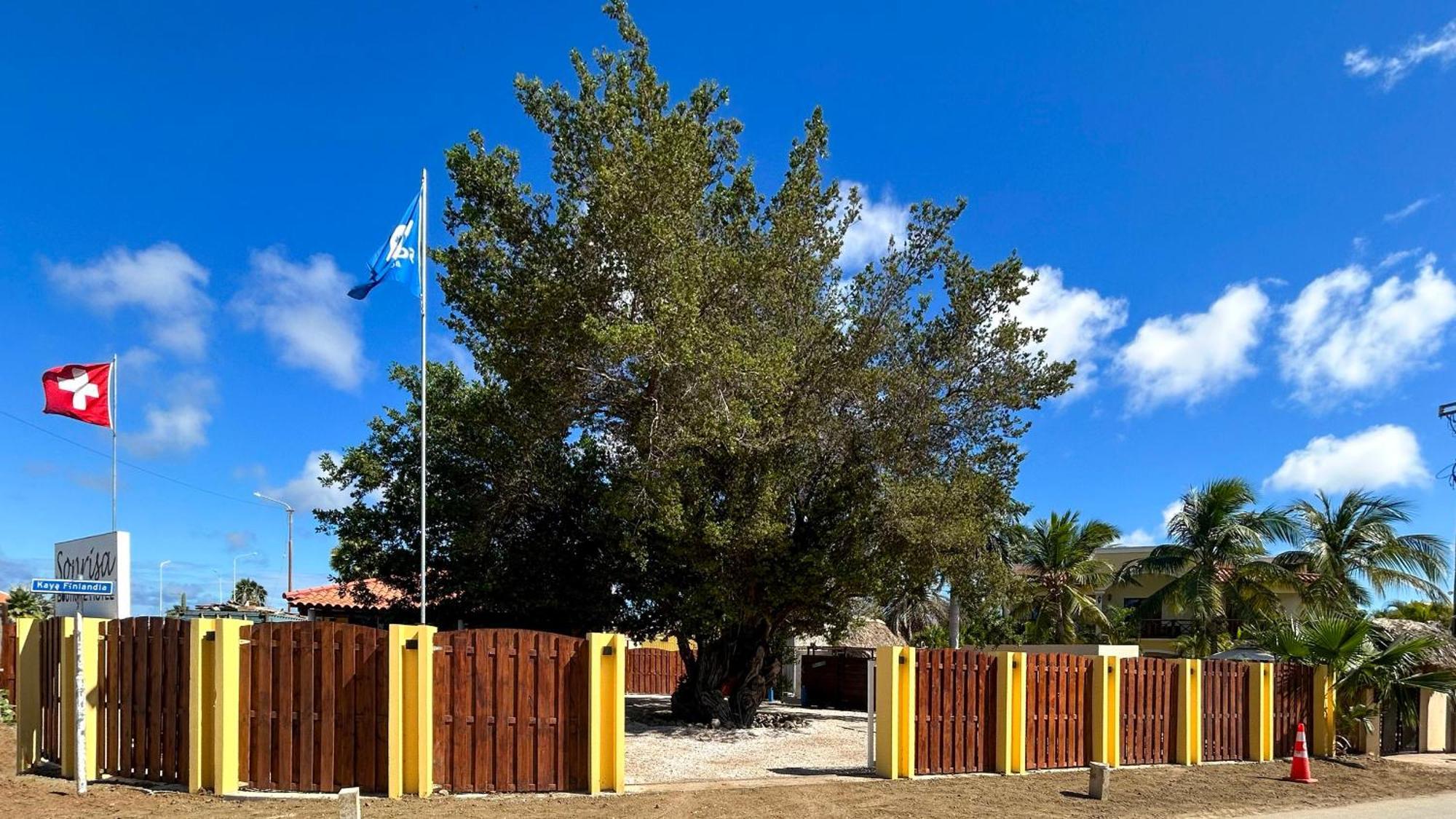 Sonrisa Boutique Hotel - Adults Only Kralendijk na wyspie Bonaire Zewnętrze zdjęcie