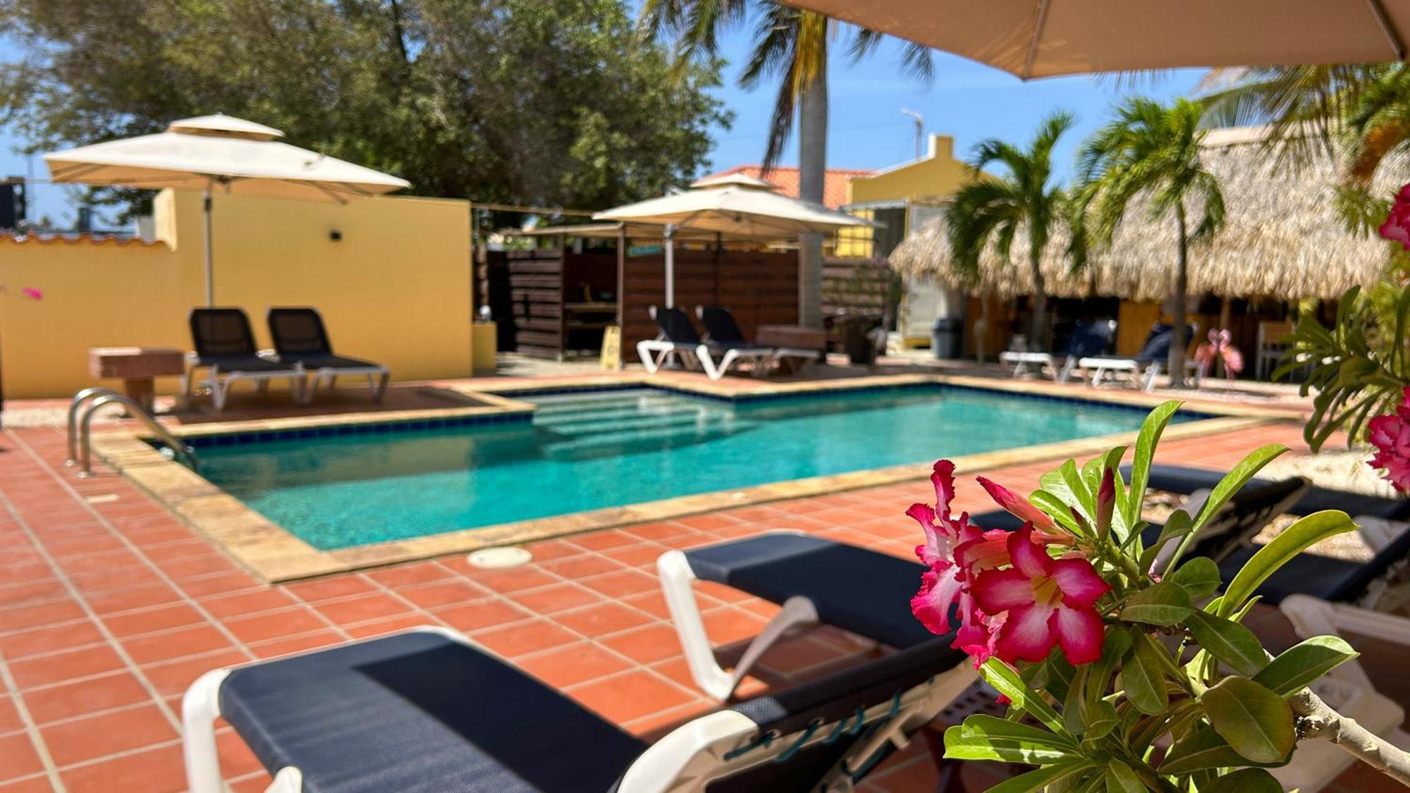 Sonrisa Boutique Hotel - Adults Only Kralendijk na wyspie Bonaire Zewnętrze zdjęcie